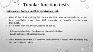 Urine concentration (or) fluid deprivation test-
• After 15 hrs of withholding fluid intake, the first urine sample collected should
have osmolality more than 850 mosm/kg or specific gravity more
than 1.025.
• If it is lesser then these values, it could be due to,
1. Renal tubular defect (nephrogenic diabetes insipidus)
2. ADH deficiency (diabetes insipidus)
• On ADH stimulation test, if it becomes normal then it is due to ADH deficiency and
not due to tubular defect.
Tubular function tests
 