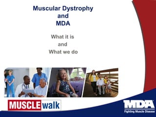 Muscular Dystrophy 
and 
MDA 
What it is 
and 
What we do 
 