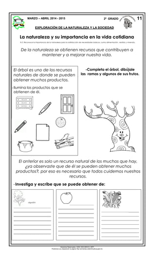 La naturaleza y su importancia en la vida cotidiana
De la naturaleza se obtienen recursos que contribuyen a
mantener y a mejorar nuestra vida.
-
MARZO – ABRIL 2014 - 2015 2º GRADO
EXPLORACIÓN DE LA NATURALEZA Y LA SOCIEDAD
11
-Completa el árbol, dibújale
las ramas y algunos de sus frutos.
El anterior es solo un recurso natural de los muchos que hay,
¿ya observaste que de él se pueden obtener muchos
productos?, por eso es necesario que todos cuidemos nuestros
recursos.
-Investiga y escribe que se puede obtener de:
_____________________________
_____________________
_____________________
_____________________
_____________________
_____________________
_____________________
___________________
____________________
____________________
____________________
____________________
____________________
____________________
____________________
___________________________
_____________________
_____________________
_____________________
_____________________
_____________________
_____________________
_
A.E. Reconoce la importancia de la naturaleza para la satisfacción de necesidades básicas, como alimentación, vestido y vivienda.
El árbol es uno de los recursos
naturales de donde se pueden
obtener muchos productos.
- Ilumina los productos que se
obtienen de él.
algodón
Derechos Reservados. GOB. EDO.SEECH. MTP
Ponemos a su disposición la página http://primarias.cetechihuahua.gob.mx
 