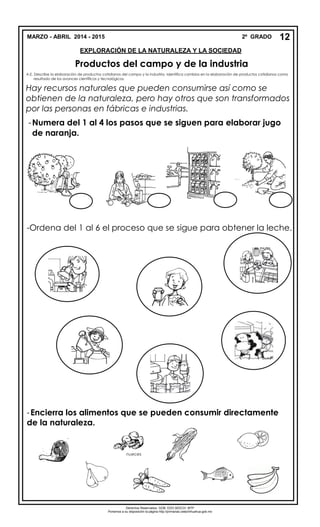 MARZO - ABRIL 2014 - 2015 2º GRADO
EXPLORACIÓN DE LA NATURALEZA Y LA SOCIEDAD
Productos del campo y de la industria
A.E. Describe la elaboración de productos cotidianos del campo y la industria. Identifica cambios en la elaboración de productos cotidianos como
resultado de los avances científicos y tecnológicos.
Hay recursos naturales que pueden consumirse así como se
obtienen de la naturaleza, pero hay otros que son transformados
por las personas en fábricas e industrias.
-Ordena del 1 al 6 el proceso que se sigue para obtener la leche.
-Encierra los alimentos que se pueden consumir directamente
de la naturaleza.
12
Derechos Reservados. GOB. EDO.SEECH. MTP
Ponemos a su disposición la página http://primarias.cetechihuahua.gob.mx
-Numera del 1 al 4 los pasos que se siguen para elaborar jugo
de naranja.
nueces
 