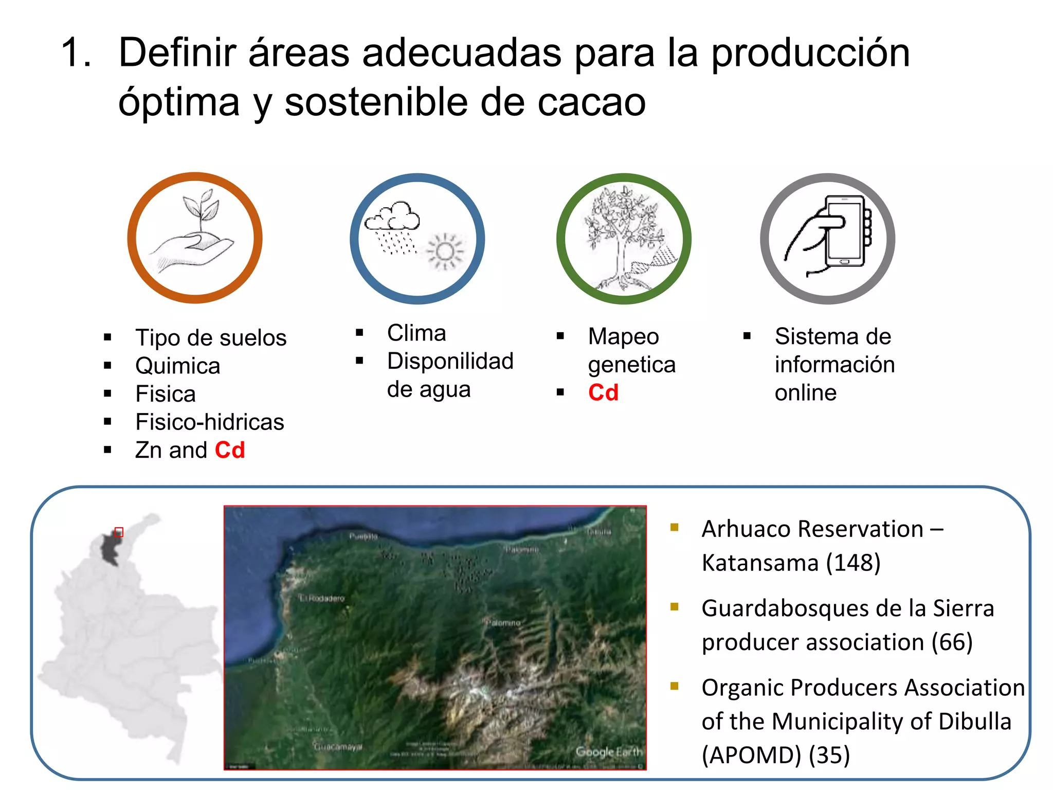 1. Definir áreas adecuadas para la producción
óptima y sostenible de cacao
 Tipo de suelos
 Quimica
 Fisica
 Fisico-hidricas
 Zn and Cd
 Sistema de
información
online
 Clima
 Disponilidad
de agua
 Mapeo
genetica
 Cd
 Arhuaco Reservation –
Katansama (148)
 Guardabosques de la Sierra
producer association (66)
 Organic Producers Association
of the Municipality of Dibulla
(APOMD) (35)
 