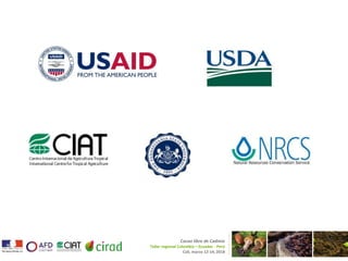 Geographical Information System Mapping for Optimized Cacao Production in Colombia