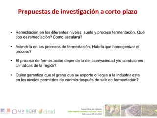 Geographical Information System Mapping for Optimized Cacao Production in Colombia