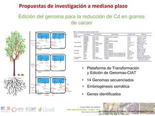 Geographical Information System Mapping for Optimized Cacao Production in Colombia