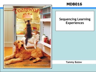 MDB016 Tammy Butow Sequencing Learning Experiences http://www.rsnz.org/directory/yearbooks/2005/BP-teamwork.jpg 