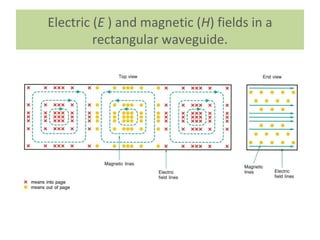 Electric (E ) and magnetic (H) fields in a
rectangular waveguide.
 