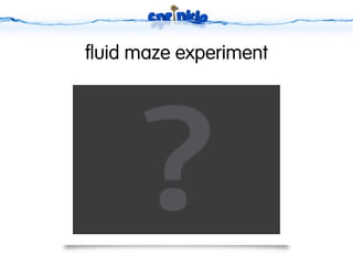 fluid maze experiment
 
