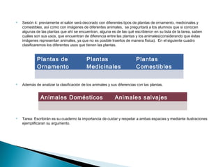  Sesión 4: previamente el salón será decorado con diferentes tipos de plantas de ornamento, medicinales y 
comestibles, así como con imágenes de diferentes animales, se preguntará a los alumnos que si conocen 
algunas de las plantas que ahí se encuentran, alguna es de las qué escribieron en su lista de la tarea, saben 
cuáles son sus usos, que encuentran de diferencia entre las plantas y los animales(considerando que éstas 
imágenes representan animales, ya que no es posible traerlos de manera física). En el siguiente cuadro 
clasificaremos los diferentes usos que tienen las plantas. 
Plantas de 
Ornamento 
 Además de analizar la clasificación de los animales y sus diferencias con las plantas. 
 Tarea: Escribirán es su cuaderno la importancia de cuidar y respetar a ambas espacies y mediante ilustraciones 
ejemplificaran su argumento. 
Plantas 
Medicinales 
Plantas 
Comestibles 
Animales Domésticos Animales salvajes 
 