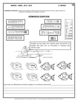 Derechos reservados GOB. EDO. DE CHIHUAHUA. SEECH. MTP. Ponemos a su disposición la página http//primarias.cetechihuahua.gob.mx
APRENDIZAJE ESPERADO. Análisis de las similitudes y diferencias entre el sistema decimal de numeración y algunos sistemas de
numeración no posicionales, como el egipcio o el romano.
NÚMEROS EGIPCIOS
¿En qué son diferentes el sistema egipcio y el sistema decimal?___________________________
__________________________________________________________________________________
__________________________________________________________________________________
__________________________________________________________________________________
MARZO – ABRIL 2015 - 2016 5° GRADO 12
1005300
549
8100
102500
13025
21523
1000009
1112213
Analiza el recuadro de valores para encontrar la
pareja del pez con su recuadro y colorea del
mismo color.
 