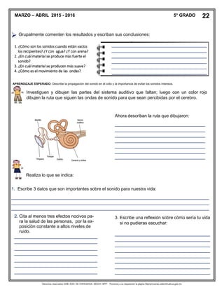 Derechos reservados GOB. EDO. DE CHIHUAHUA. SEECH. MTP. Ponemos a su disposición la página http//primarias.cetechihuahua.gob.mx

1. Escribe 3 datos que son importantes sobre el sonido para nuestra vida:
_________________________________________________________________________________
_________________________________________________________________________________
_________________________________________________________________________________
APRENDIZAJE ESPERADO: Describe la propagación del sonido en el oído y la importancia de evitar los sonidos intensos.
MARZO – ABRIL 2015 - 2016 5° GRADO 22
Grupalmente comenten los resultados y escriban sus conclusiones:
1. ¿Cómo son los sonidos cuando están vacíos
los recipientes? ¿Y con agua? ¿Y con arena?
2. ¿En cuál material se produce más fuerte el
sonido?
3. ¿En cuál material se producen más suave?
4. ¿Cómo es el movimiento de las ondas?
_______________________________________
_______________________________________
_______________________________________
_______________________________________
_______________________________________
_______________________________________
_
Ahora describan la ruta que dibujaron:
_____________________________________
_____________________________________
_____________________________________
_____________________________________
_____________________________________
_____________________________________
_____________________________________
______________________________
Investiguen y dibujen las partes del sistema auditivo que faltan; luego con un color rojo
dibujen la ruta que siguen las ondas de sonido para que sean percibidas por el cerebro.
Realiza lo que se indica:
2. Cita al menos tres efectos nocivos pa-
ra la salud de las personas, por la ex-
posición constante a altos niveles de
ruido.
__________________________________
__________________________________
__________________________________
__________________________________
__________________________________
__________________________________
__________________________________
_
3. Escribe una reflexión sobre cómo sería tu vida
si no pudieras escuchar:
_______________________________________
_______________________________________
_______________________________________
_______________________________________
_______________________________________
_______________________________________
_______________________________________
_______________________________________
 