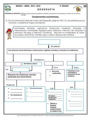 Derechos reservados GOB. EDO. DE CHIHUAHUA. SEECH. MTP. Ponemos a su disposición la página http//primarias.cetechihuahua.gob.mx
APRENDIZAJE ESPERADO. Distingue espacios agrícolas, ganaderos, forestales y pesqueros en los continentes en relación con los recursos
naturales.
Componentes económicos.
 Con la información leída de tu libro de Geografía, páginas 109-116 y las palabras que se
muestran, completa el mapa conceptual.
Se dedican
A la extracción de los elementos o materia prima, vegetales, animales y minerales sin modificarlos.
Actividades primarias. Agricultura. Producción maderera. Minerales e
hidrocarburos. Actividades Agropecuarias. Extensiva. Intensiva. De temporal o
extensiva. De riego o intensiva. Comercial. Recursos no maderables. El cobre,
oro, plata y diamantes. Petróleo, gas y carbón. Bosques de coníferas.
Divididas en
Ganadería y pesca.
Requieren de condiciones naturales
apropiadas para desarrollarse.
Las
Puede ser
 _____________
 _____________
 De subsistencia
 _____________
 De autoconsumo.
 __________________
 __________________
 Recursos
maderables.

Tiene Están
Presentes en las
actividades y
productos de uso
cotidiano.
Son
 _______________
_______________
_______________
________________
________________
________________
__________________
__________________
de mayor
produccion
maderera.
 Selvas y
bosque
tropical
proporcionan
la madera fina.
Los
MARZO – ABRIL 2015 - 2016 5° GRADO
G E O G R A F Í A
25
 