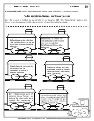 Derechos reservados GOB. EDO. DE CHIHUAHUA. SEECH. MTP. Ponemos a su disposición la página http//primarias.cetechihuahua.gob.mx
APRENDIZAJE ESPERADO. Relaciona redes carreteras, férreas, marítimas y aéreas con el comercio y el turismo de los continentes.
Redes carreteras, férreas, marítimas y aéreas
 Da lectura a tu libro de geografía en las páginas 129 -135. Recorta los vagones del
tren y organiza la información de acuerdo a las actividades terciarias
.

Actividades terciarias
Su función es vender, distribuir,
y dar mantenimiento a lo que se
produce en el sector primario y
secundario.
Estas incluyen al comercio, las
comunicaciones, los
transportes, el turismo y
servicios bancarios.
Los barcos, trenes, aviones o
autobuses, facilitan el traslado
de las personas y mercancías
de un lugar a otro.
.
Son indispensables para el
comercio porque forman un
sistema de rutas hecho para
distribuir las mercancías a
nivel local, nacional y mundial.
El comercio y el turismo son
actividades del sector terciario
que traen importantes
beneficios económicos a los
países.
Intercambio comercial exterior. Los
países no pueden producir todo lo
necesario para vivir, es por ello que
importan de otros países productos
agrícolas, ganaderos, etc.
MARZO – ABRIL 2015 - 2016 5° GRADO 28
 