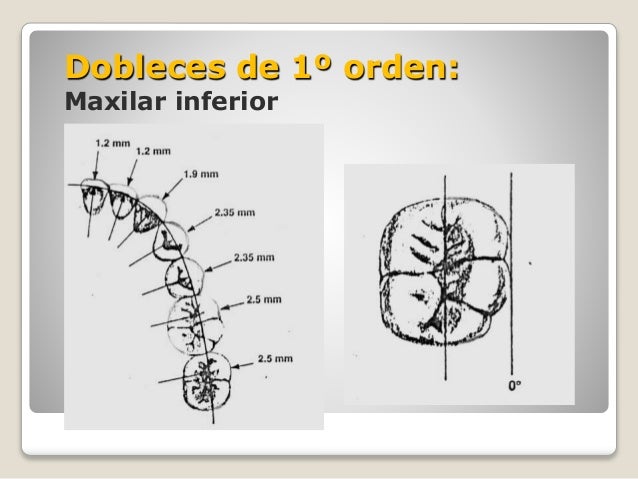 Mdem doblez de 1º orden