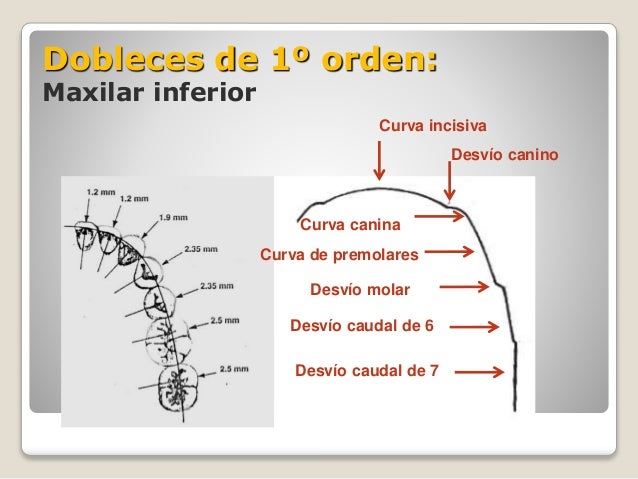 Mdem doblez de 1º orden