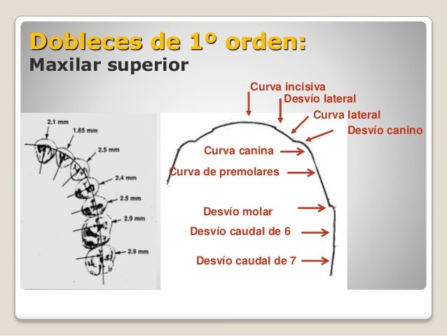 Mdem doblez de 1º orden