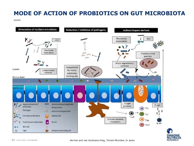 composition yakult of vf derrien yakult M
