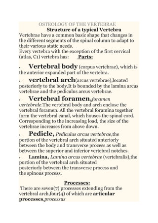 OSTEOLOGY OF THE VERTEBRAE
Structure of a typical Vertebra
Vertebrae have a common basic shape that changes in
the different segments of the spinal column to adapt to
their various static needs.
Every vertebra with the exception of the first cervical
(atlas, C1) vertebra has: Parts:
 Vertebral body (corpus vertebrae), which is
the anterior expanded part of the vertebra.
 vertebral arch(arcus vertebrae),located
posteriorly to the body.It is bounded by the lamina arcus
vertebrae and the pediculus arcus vertebrae.
 Vertebral foramen,foramen
vertebrale.The vertebral body and arch enclose the
vertebral foramen. All the vertebral foramina together
form the vertebral canal, which houses the spinal cord.
Corresponding to the increasing load, the size of the
vertebrae increases from above down.
 Pedicle, Pediculus arcus vertebrae,the
portion of the vertebral arch situated anteriorly
between the body and transverse process as well as
between the superior and inferior vertebral notches.
 Lamina, Lamina arcus vertebrae (vertebralis),the
portion of the vertebral arch situated
posteriorly between the transverse process and
the spinous process.
Processes:
There are seven(7) processes extending from the
vertebral arch,four(4) of which are articular
processes,processus
 