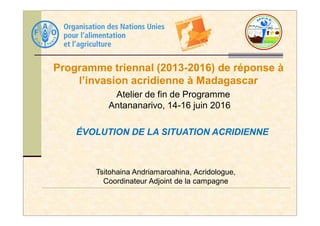 Programme triennal (2013-2016) de réponse à
l’invasion acridienne à Madagascar
Atelier de fin de Programme
Antananarivo, 14-16 juin 2016
Tsitohaina Andriamaroahina, Acridologue,
Coordinateur Adjoint de la campagne
ÉVOLUTION DE LA SITUATION ACRIDIENNE
 