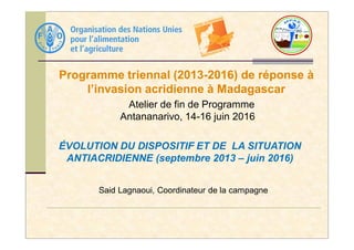 Programme triennal (2013-2016) de réponse à
l’invasion acridienne à Madagascar
Atelier de fin de Programme
Antananarivo, 14-16 juin 2016
Said Lagnaoui, Coordinateur de la campagne
ÉVOLUTION DU DISPOSITIF ET DE LA SITUATION
ANTIACRIDIENNE (septembre 2013 – juin 2016)
 