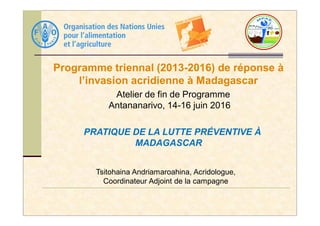 Programme triennal (2013-2016) de réponse à
l’invasion acridienne à Madagascar
Atelier de fin de Programme
Antananarivo, 14-16 juin 2016
Tsitohaina Andriamaroahina, Acridologue,
Coordinateur Adjoint de la campagne
PRATIQUE DE LA LUTTE PRÉVENTIVE À
MADAGASCAR
 