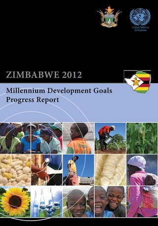 United Nations 
Zimbabwe Zimbabwe 
ZIMBABWE 2012 
Millennium Development Goals 
Progress Report 
 