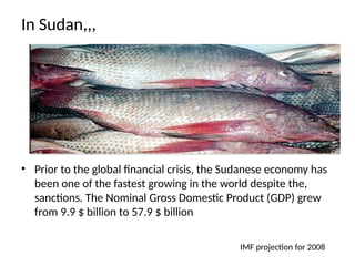 In Sudan,,,
• Prior to the global financial crisis, the Sudanese economy has
been one of the fastest growing in the world despite the,
sanctions. The Nominal Gross Domestic Product (GDP) grew
from 9.9 $ billion to 57.9 $ billion
IMF projection for 2008
 