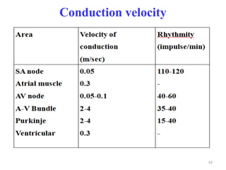 Physiology of cardiovascular system | PPT