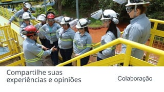 Compartilhe suas
experiências e opiniões Colaboração
 