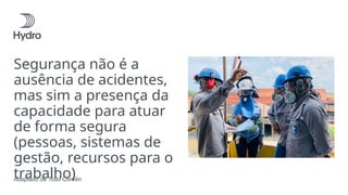 Segurança não é a
ausência de acidentes,
mas sim a presença da
capacidade para atuar
de forma segura
(pessoas, sistemas de
gestão, recursos para o
trabalho)
Adaptado de Todd Conklin
 