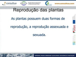 Reprodução das plantas
As plantas possuem duas formas de
reprodução, a reprodução assexuada e
sexuada.
 