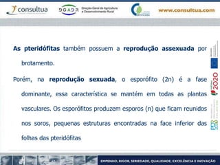 As pteridófitas também possuem a reprodução assexuada por
brotamento.
Porém, na reprodução sexuada, o esporófito (2n) é a fase
dominante, essa característica se mantém em todas as plantas
vasculares. Os esporófitos produzem esporos (n) que ficam reunidos
nos soros, pequenas estruturas encontradas na face inferior das
folhas das pteridófitas
 