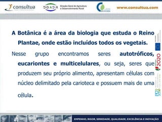 A Botânica é a área da biologia que estuda o Reino
Plantae, onde estão incluídos todos os vegetais.
Nesse grupo encontramos seres autotróficos,
eucariontes e multicelulares, ou seja, seres que
produzem seu próprio alimento, apresentam células com
núcleo delimitado pela carioteca e possuem mais de uma
célula.
 