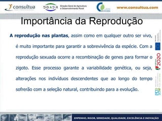 Importância da Reprodução
A reprodução nas plantas, assim como em qualquer outro ser vivo,
é muito importante para garantir a sobrevivência da espécie. Com a
reprodução sexuada ocorre a recombinação de genes para formar o
zigoto. Esse processo garante a variabilidade genética, ou seja,
alterações nos indivíduos descendentes que ao longo do tempo
sofrerão com a seleção natural, contribuindo para a evolução.
 