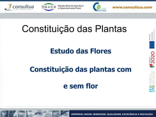 Constituição das Plantas
Estudo das Flores
Constituição das plantas com
e sem flor
 
