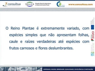 O Reino Plantae é extremamente variado, com
espécies simples que não apresentam folhas,
caule e raízes verdadeiras até espécies com
frutos carnosos e flores deslumbrantes.
 