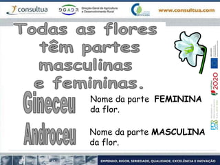 Nome da parte FEMININA
da flor.
Nome da parte MASCULINA
da flor.
 