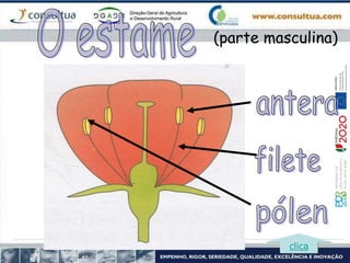(parte masculina)
clica
 