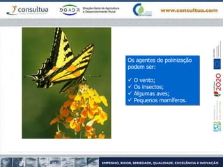 Os agentes de polinização
podem ser:
 O vento;
 Os insectos;
 Algumas aves;
 Pequenos mamíferos.
 