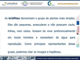 As briófitas denominam o grupo de plantas mais simples.
Elas são pequenas, avasculares e não possuem caule,
folhas, nem raízes. Gostam de viver preferencialmente
em locais húmidos e necessitam de água para
reprodução. Como principais representantes desse
grupo, podemos citar os musgos e hepáticas.
 