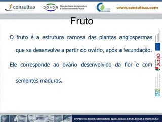 Fruto
O fruto é a estrutura carnosa das plantas angiospermas
que se desenvolve a partir do ovário, após a fecundação.
Ele corresponde ao ovário desenvolvido da flor e com
sementes maduras.
 