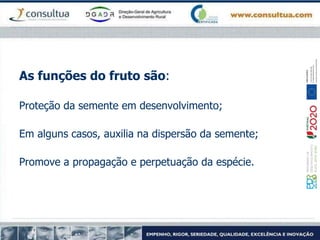 As funções do fruto são:
Proteção da semente em desenvolvimento;
Em alguns casos, auxilia na dispersão da semente;
Promove a propagação e perpetuação da espécie.
 