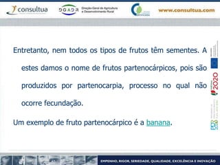 Entretanto, nem todos os tipos de frutos têm sementes. A
estes damos o nome de frutos partenocárpicos, pois são
produzidos por partenocarpia, processo no qual não
ocorre fecundação.
Um exemplo de fruto partenocárpico é a banana.
 