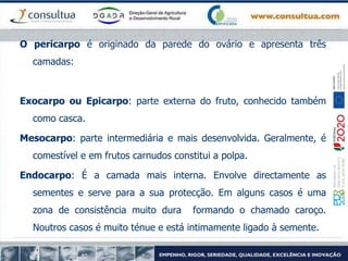 O pericarpo é originado da parede do ovário e apresenta três
camadas:
Exocarpo ou Epicarpo: parte externa do fruto, conhecido também
como casca.
Mesocarpo: parte intermediária e mais desenvolvida. Geralmente, é
comestível e em frutos carnudos constitui a polpa.
Endocarpo: É a camada mais interna. Envolve directamente as
sementes e serve para a sua protecção. Em alguns casos é uma
zona de consistência muito dura formando o chamado caroço.
Noutros casos é muito ténue e está intimamente ligado à semente.
.
 