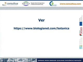 Ver
https://www.biologianet.com/botanica
 