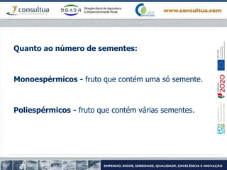 Quanto ao número de sementes:
Monoespérmicos - fruto que contém uma só semente.
Poliespérmicos - fruto que contém várias sementes.
 