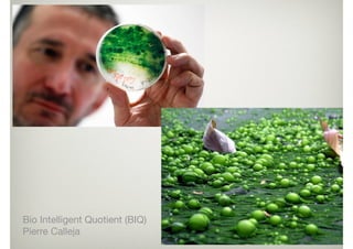 Bio Intelligent Quotient (BIQ)

Pierre Calleja
 