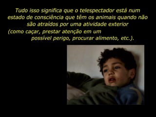 Tudo isso significa que o telespectador está num estado de consciência que têm os animais quando não são atraídos por uma atividade exterior (como caçar, prestar atenção em um  possível perigo, procurar alimento, etc.). 