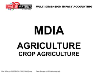 MULTI DIMENSION IMPACT ACCOUNTING
MDIA
AGRICULTURE
CROP AGRICULTURE
File: MDIA-p3-06-AGRICULTURE-150420.odp Peter Burgess (c) All rights reserved
 