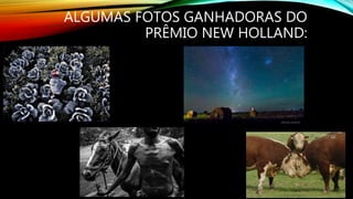 ALGUMAS FOTOS GANHADORAS DO
PRÊMIO NEW HOLLAND:
 