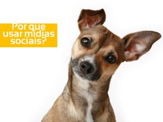 Por que
usar mídias
 sociais?
 